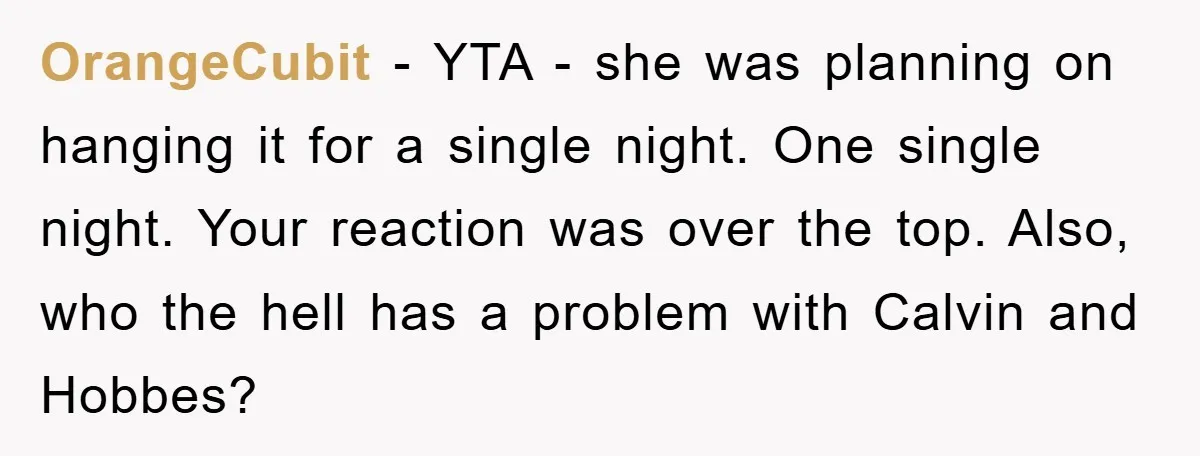 OrangeCubit − YTA - she was planning on hanging it for a single night. One single night. Your reaction was over the top. Also, who the hell has a problem...