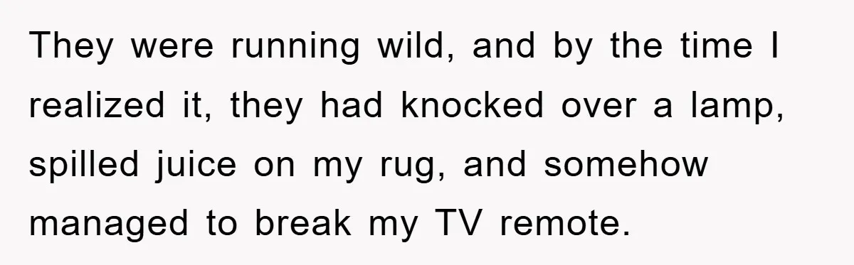 They were running wild, and by the time I realized it, they had knocked over a lamp, spilled juice on my rug, and somehow managed to break my TV remote.