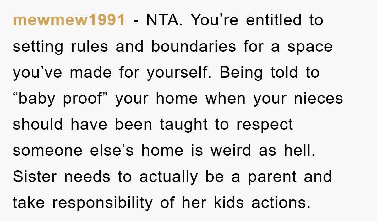 mewmew1991 − NTA. You’re entitled to setting rules and boundaries for a space you’ve made for yourself. Being told to “baby proof” your home when your nieces should have been...