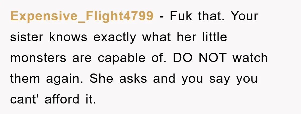 Expensive_Flight4799 − Fuk that. Your sister knows exactly what her little monsters are capable of. DO NOT watch them again. She asks and you say you cant' afford it.