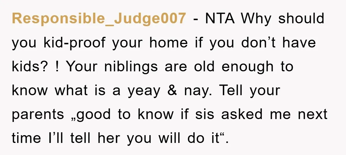 Responsible_Judge007 − NTA Why should you kid-proof your home if you don’t have kids? ! Your niblings are old enough to know what is a yeay & nay. Tell your...