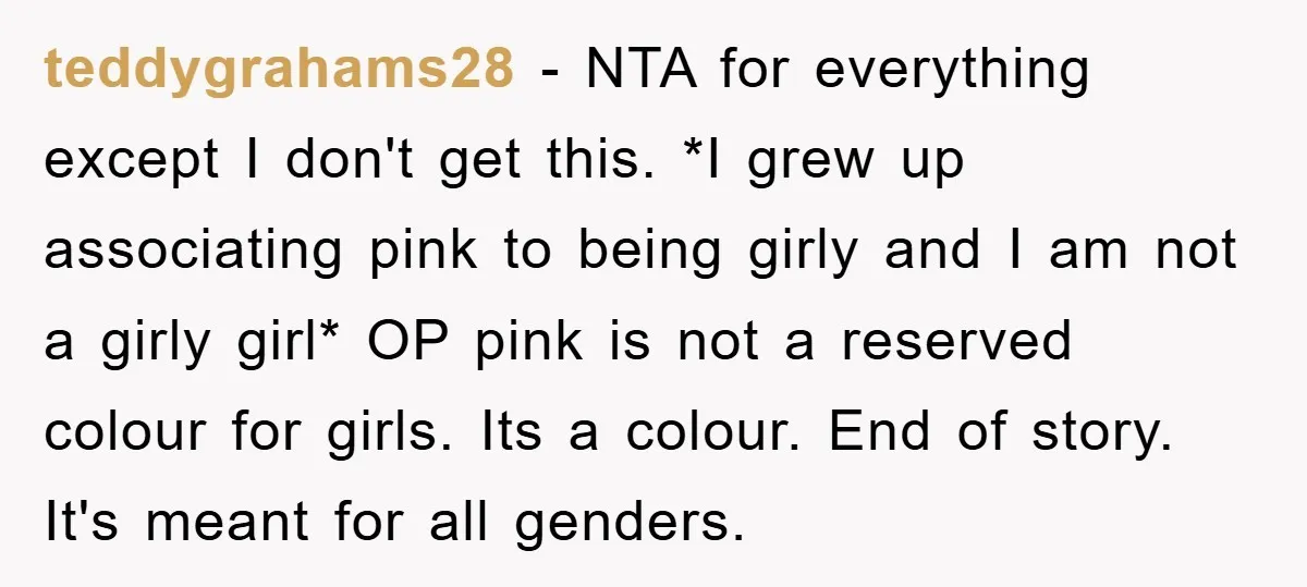 teddygrahams28 − NTA for everything except I don't get this. *I grew up associating pink to being girly and I am not a girly girl* OP pink is not a...