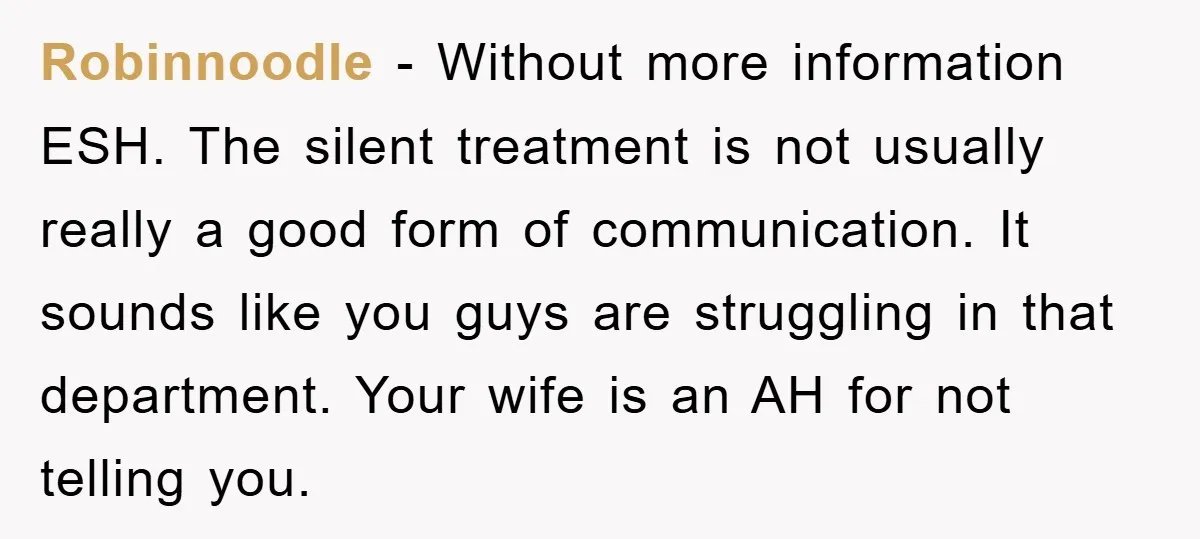 Robinnoodle − Without more information ESH. The silent treatment is not usually really a good form of communication. It sounds like you guys are struggling in that department. Your wife...