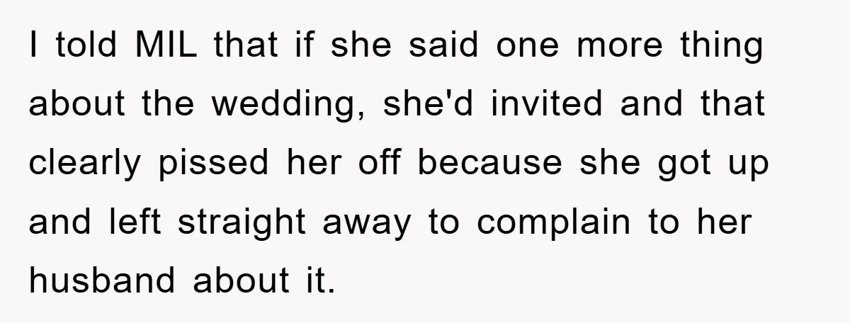 I told MIL that if she said one more thing about the wedding, she'd invited and that clearly pissed her off because she got up and left straight away to...