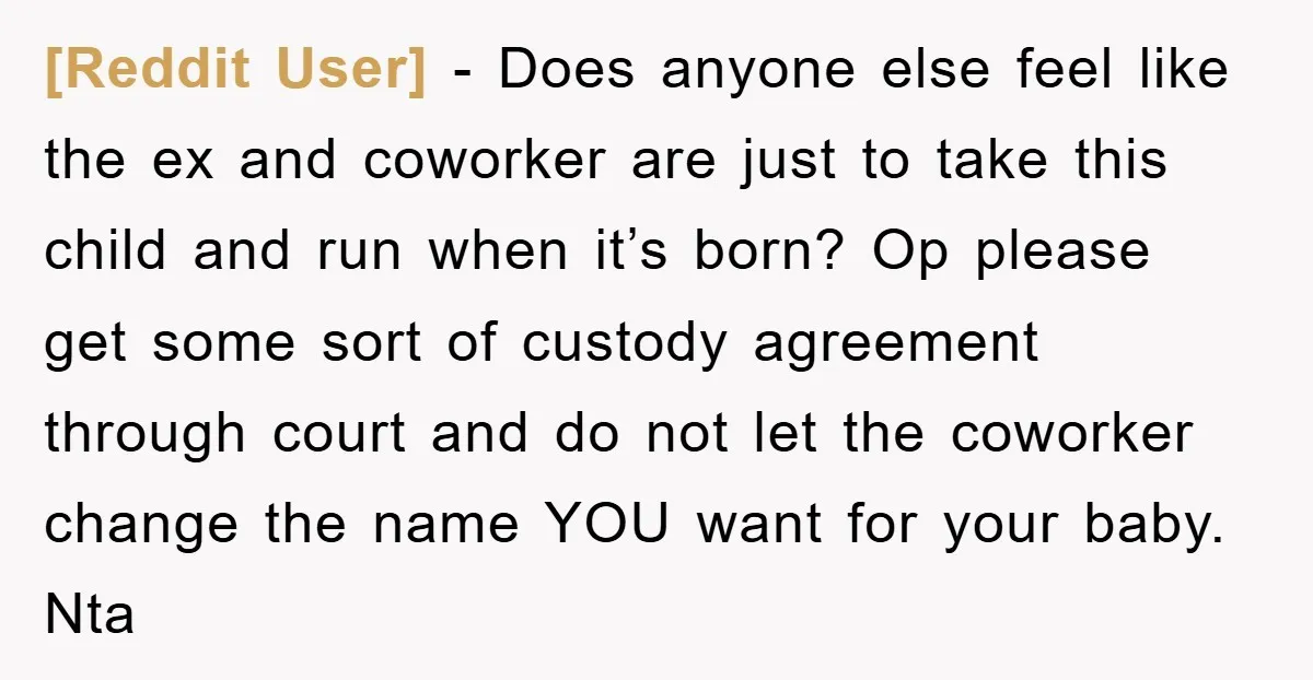 [Reddit User] − Does anyone else feel like the ex and coworker are just to take this child and run when it’s born? Op please get some sort of custody...