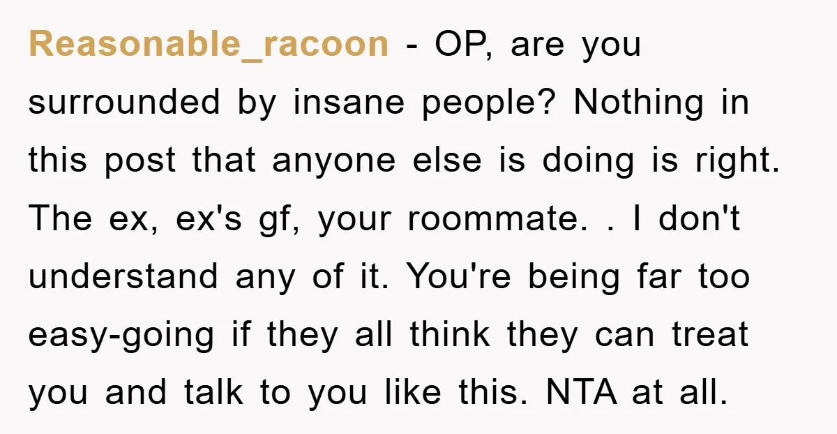 Reasonable_racoon − OP, are you surrounded by insane people? Nothing in this post that anyone else is doing is right. The ex, ex's gf, your roommate. . I don't understand...