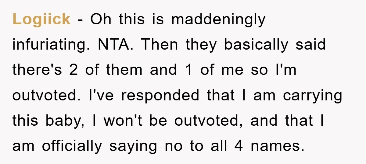 Logiick − Oh this is maddeningly infuriating. NTA. Then they basically said there's 2 of them and 1 of me so I'm outvoted. I've responded that I am carrying this...