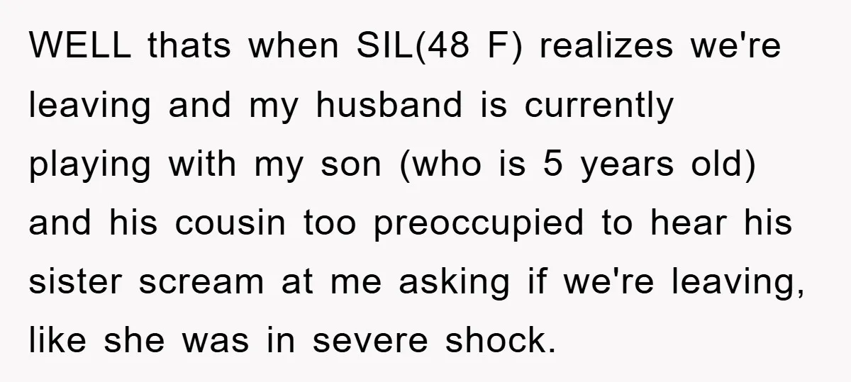 WELL thats when SIL(48 F) realizes we're leaving and my husband is currently playing with my son (who is 5 years old) and his cousin too preoccupied to hear his...