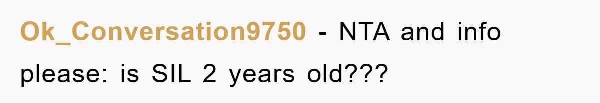 Ok_Conversation9750 − NTA and info please: is SIL 2 years old???