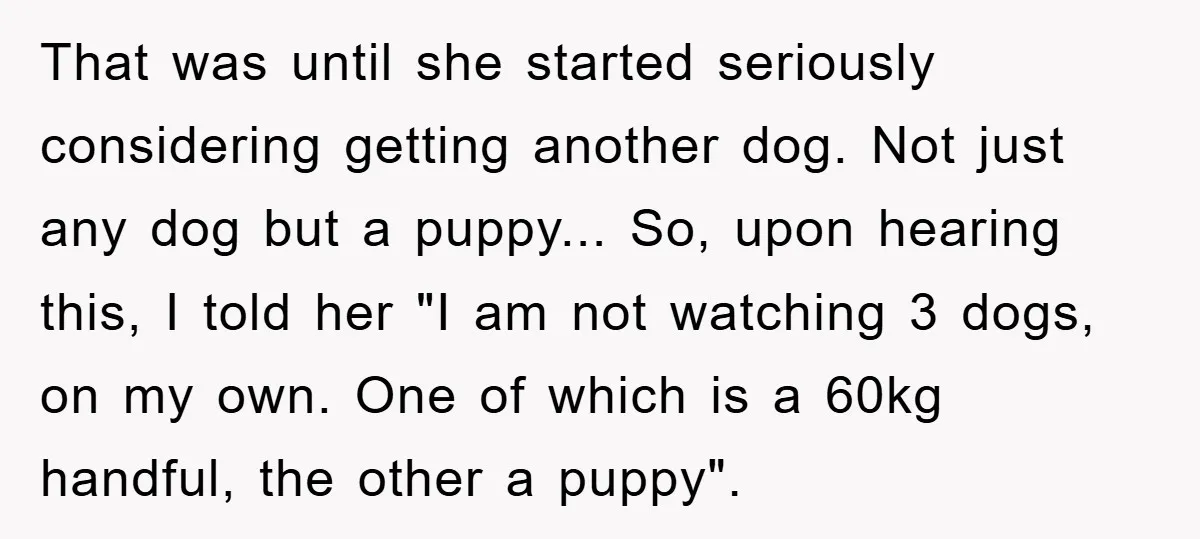That was until she started seriously considering getting another dog. Not just any dog but a puppy... So, upon hearing this, I told her "I am not watching 3 dogs,...