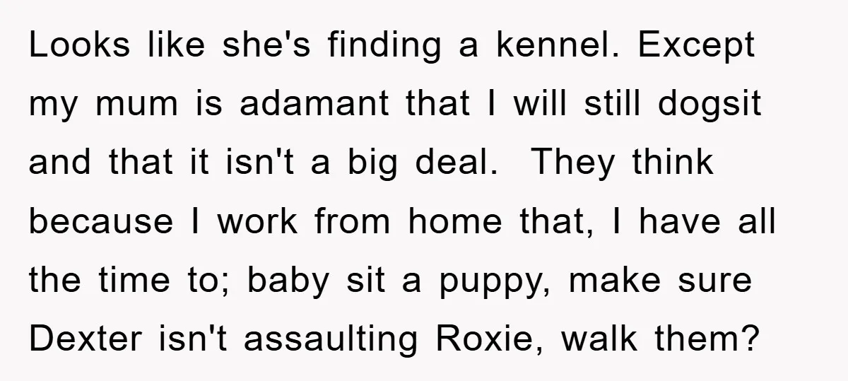 Looks like she's finding a kennel. Except my mum is adamant that I will still dogsit and that it isn't a big deal. They think because I work from home...