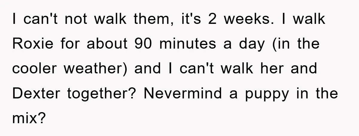 I can't not walk them, it's 2 weeks. I walk Roxie for about 90 minutes a day (in the cooler weather) and I can't walk her and Dexter together? Nevermind...