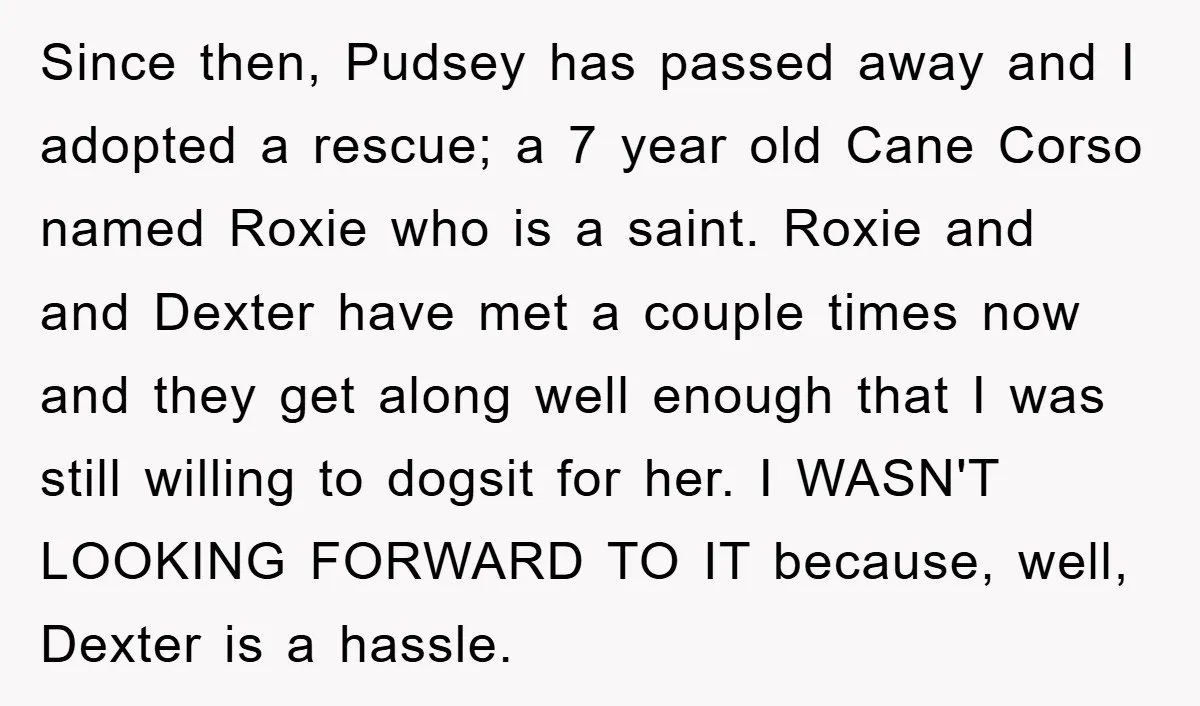 Since then, Pudsey has passed away and I adopted a rescue; a 7 year old Cane Corso named Roxie who is a saint. Roxie and and Dexter have met a...