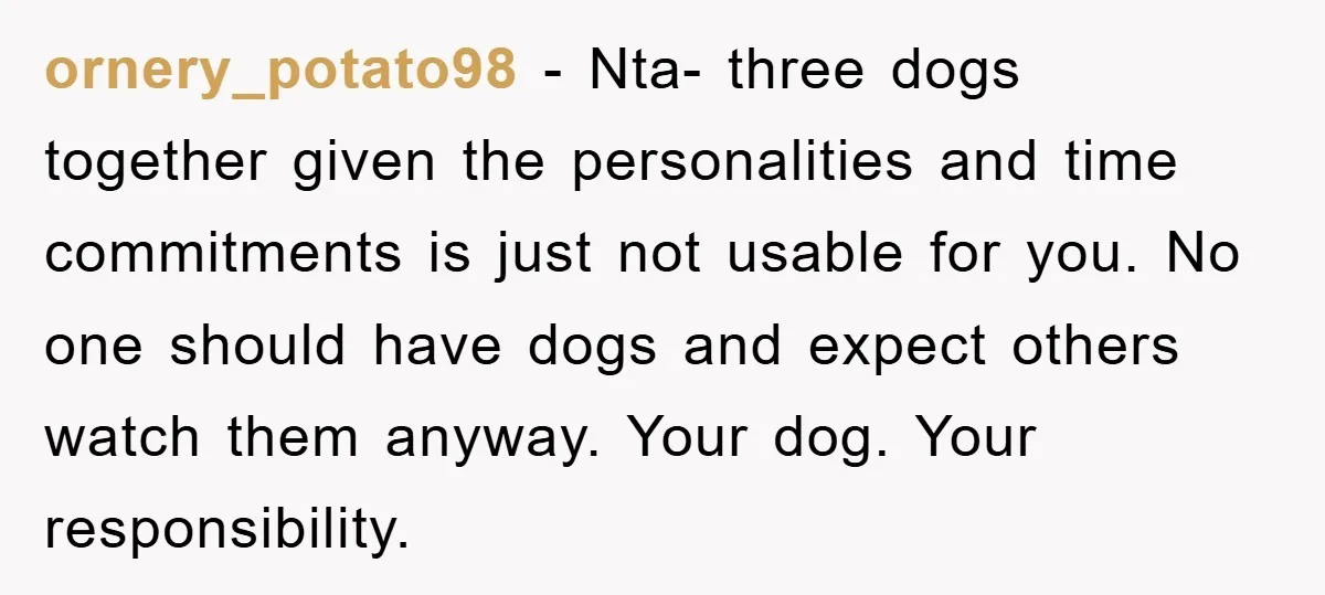 ornery_potato98 − Nta- three dogs together given the personalities and time commitments is just not usable for you. No one should have dogs and expect others watch them anyway. Your...