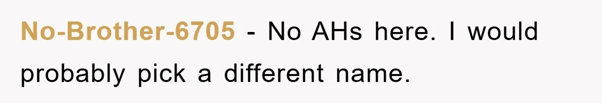 No-Brother-6705 − No AHs here. I would probably pick a different name.
