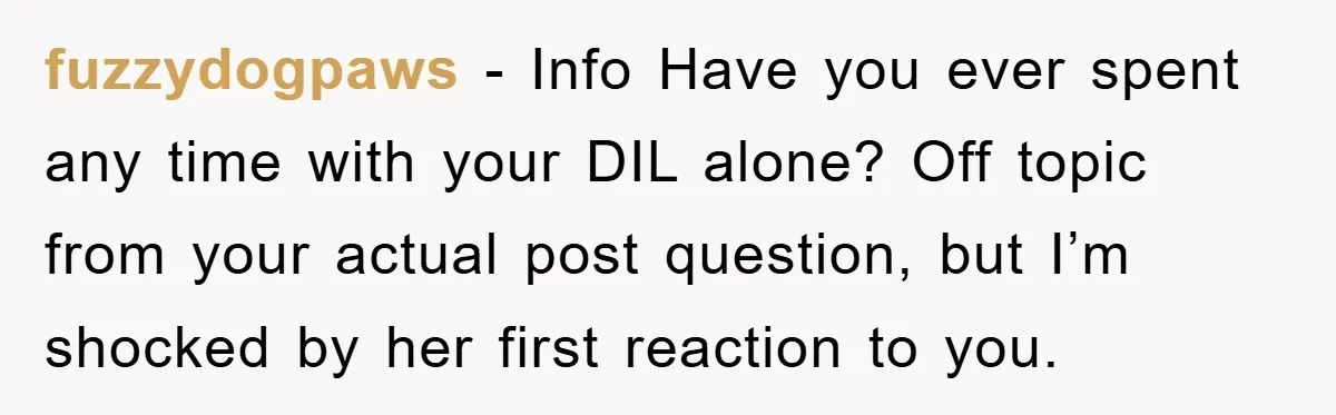fuzzydogpaws − Info Have you ever spent any time with your DIL alone? Off topic from your actual post question, but I’m shocked by her first reaction to you.