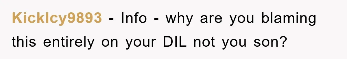 KickIcy9893 − Info - why are you blaming this entirely on your DIL not you son?