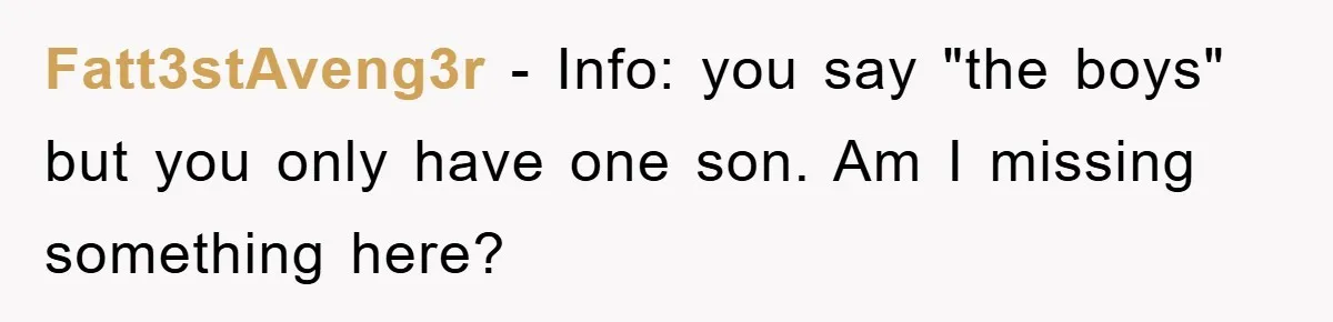 Fatt3stAveng3r − Info: you say "the boys" but you only have one son. Am I missing something here?