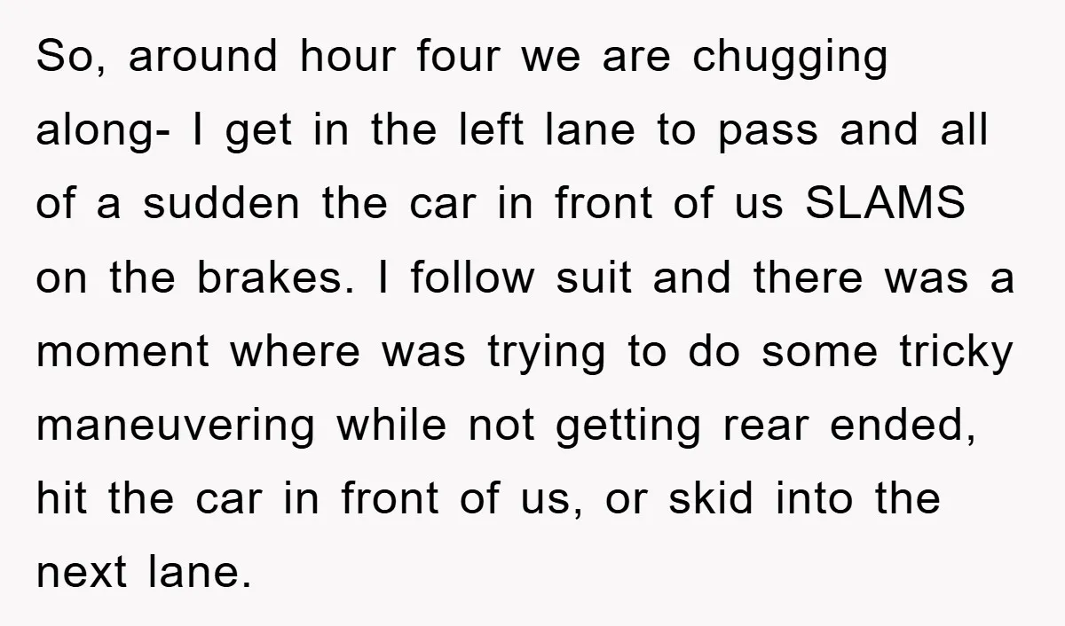 So, around hour four we are chugging along- I get in the left lane to pass and all of a sudden the car in front of us SLAMS on the...