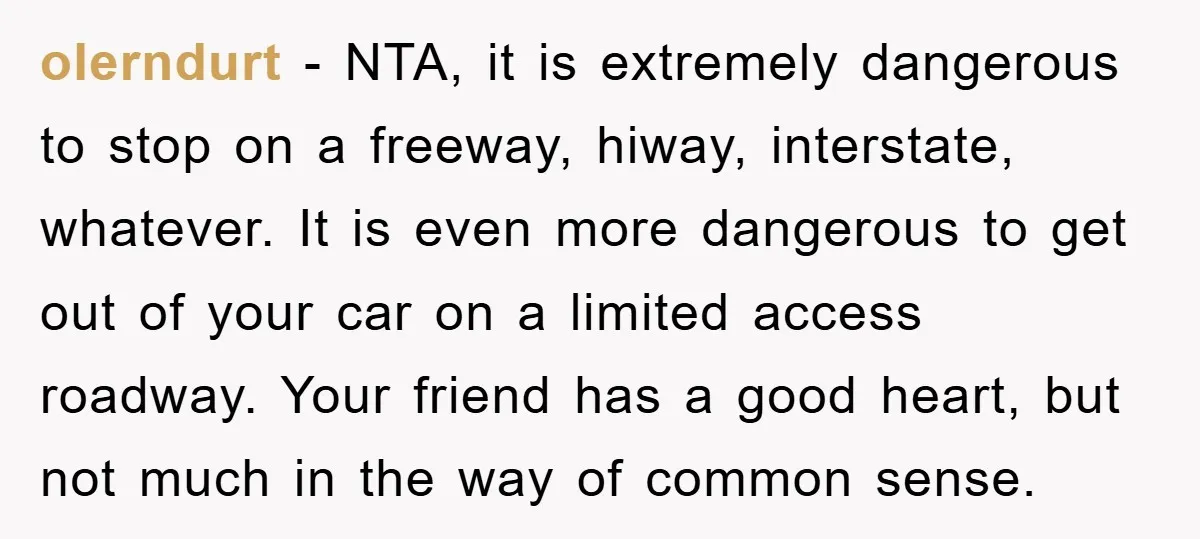 olerndurt − NTA, it is extremely dangerous to stop on a freeway, hiway, interstate, whatever. It is even more dangerous to get out of your car on a limited access...