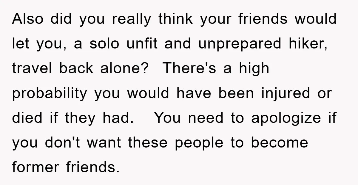 Also did you really think your friends would let you, a solo unfit and unprepared hiker, travel back alone? There's a high probability you would have been injured or died...