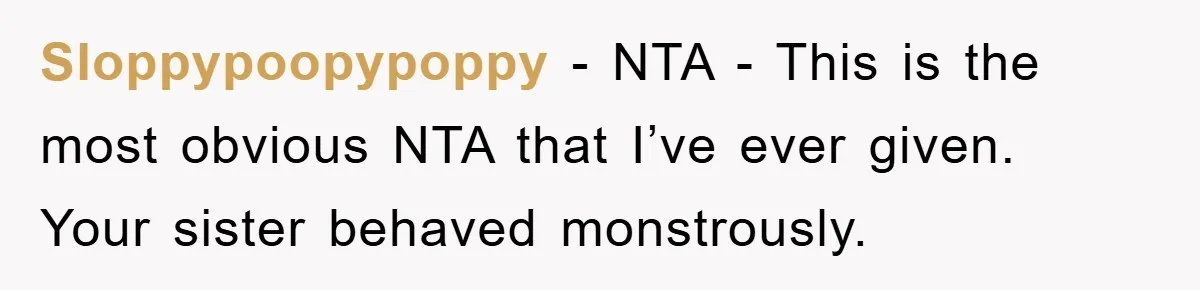 Sloppypoopypoppy − NTA - This is the most obvious NTA that I’ve ever given. Your sister behaved monstrously.