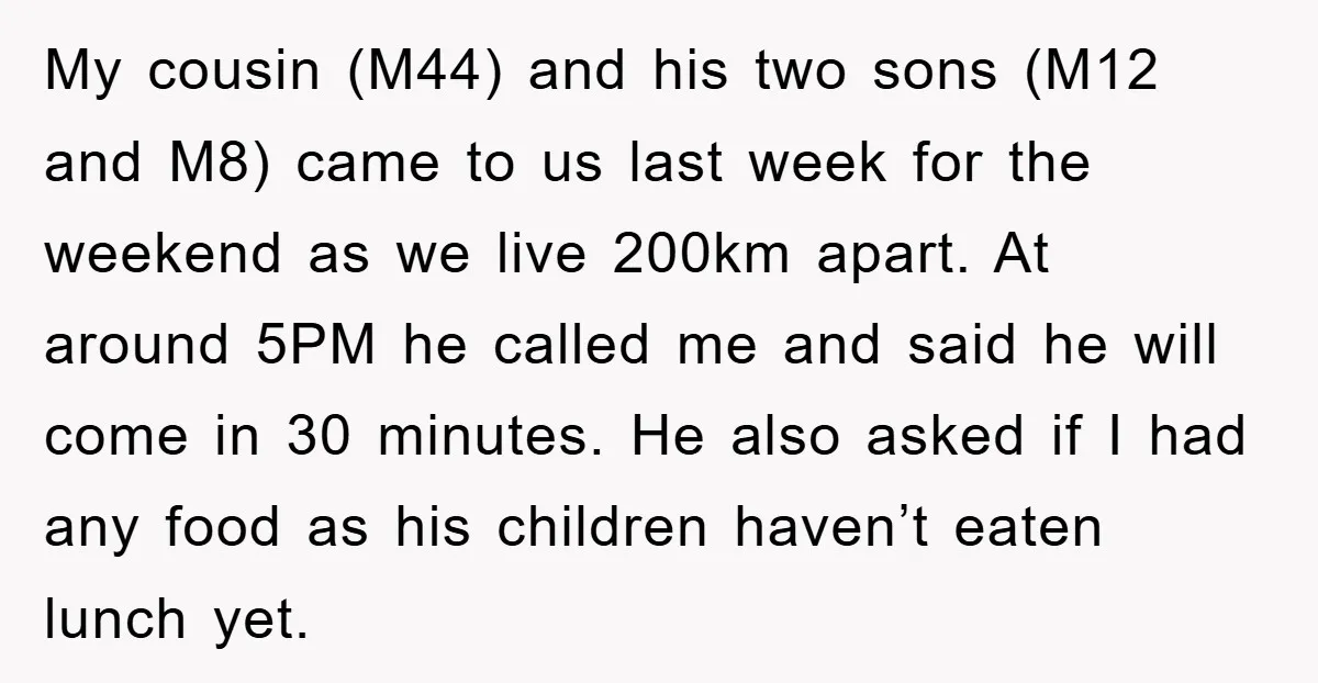 My cousin (M44) and his two sons (M12 and M8) came to us last week for the weekend as we live 200km apart. At around 5PM he called me and...