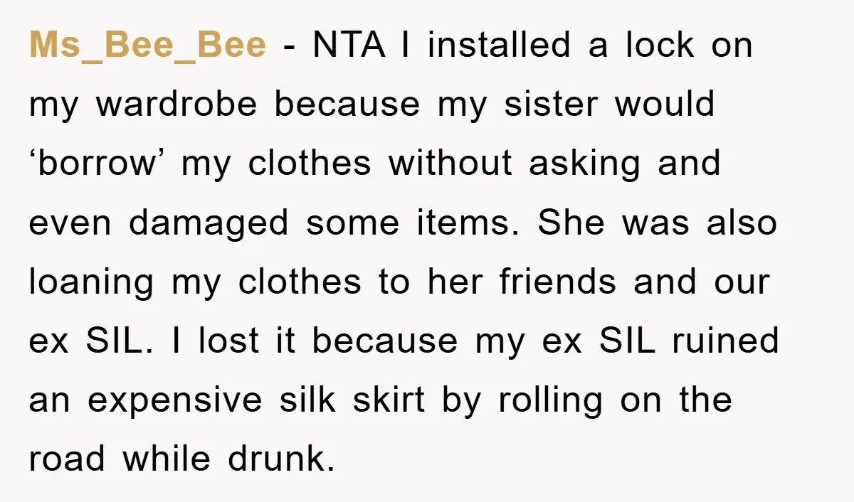 Ms_Bee_Bee − NTA I installed a lock on my wardrobe because my sister would ‘borrow’ my clothes without asking and even damaged some items. She was also loaning my clothes...