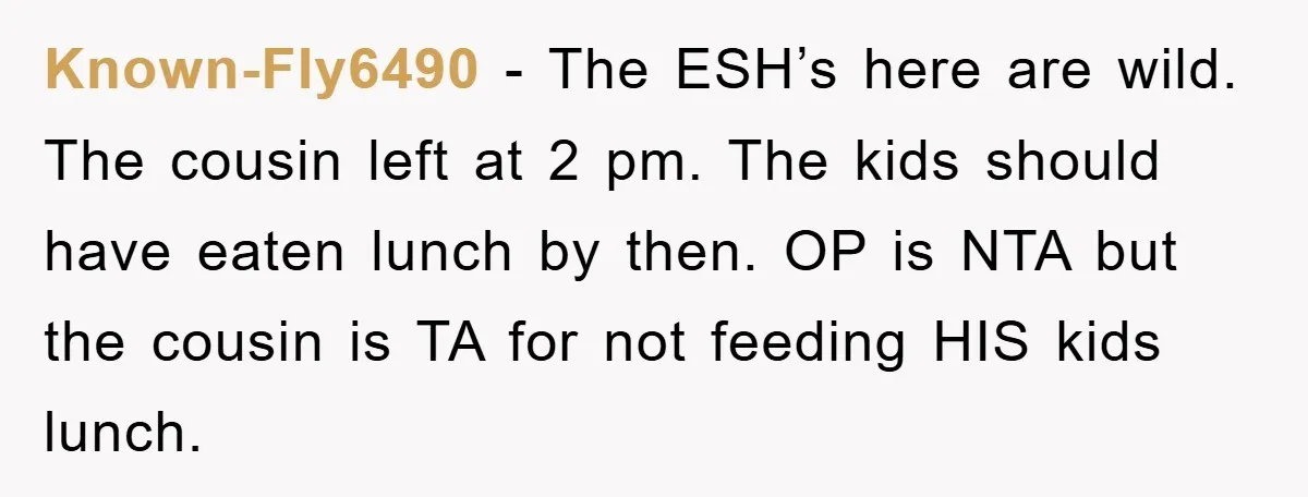 Known-Fly6490 − The ESH’s here are wild. The cousin left at 2 pm. The kids should have eaten lunch by then. OP is NTA but the cousin is TA for...