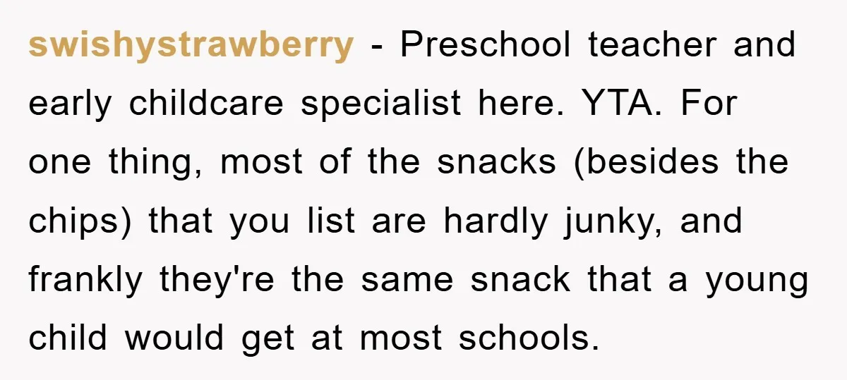 swishystrawberry − Preschool teacher and early childcare specialist here. YTA. For one thing, most of the snacks (besides the chips) that you list are hardly junky, and frankly they're the...