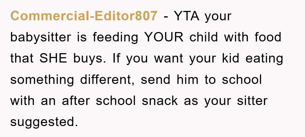Commercial-Editor807 − YTA your babysitter is feeding YOUR child with food that SHE buys. If you want your kid eating something different, send him to school with an after school...