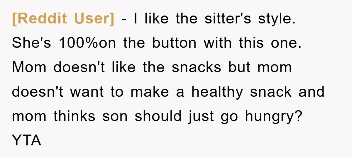 [Reddit User] − I like the sitter's style. She's 100%on the button with this one. Mom doesn't like the snacks but mom doesn't want to make a healthy snack and...