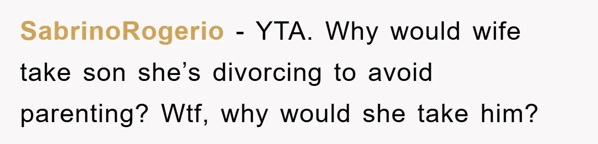SabrinoRogerio − YTA. Why would wife take son she’s divorcing to avoid parenting? Wtf, why would she take him?