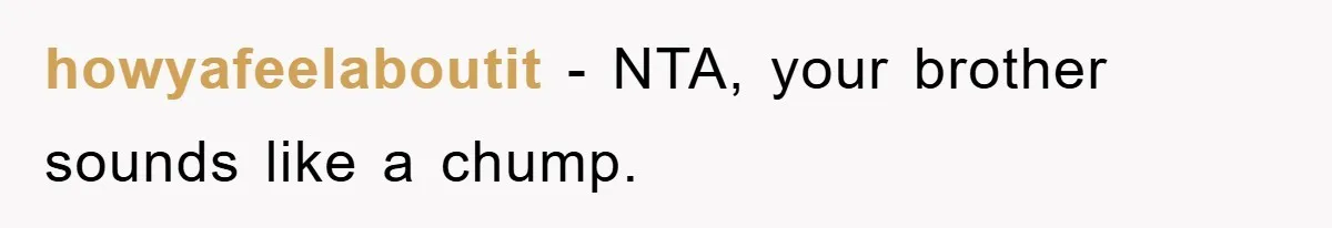 howyafeelaboutit − NTA, your brother sounds like a chump.