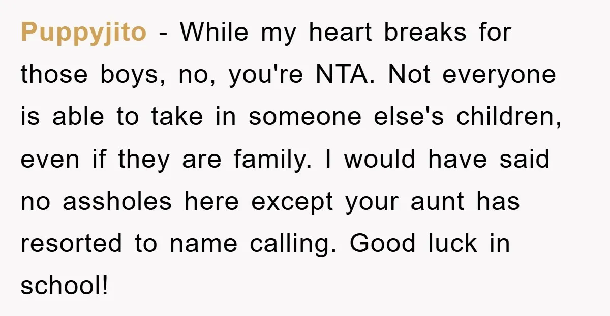 Puppyjito − While my heart breaks for those boys, no, you're NTA. Not everyone is able to take in someone else's children, even if they are family. I would have...
