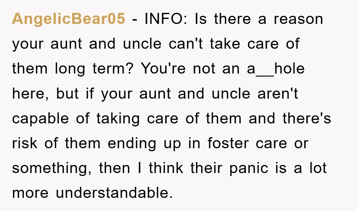 AngelicBear05 − INFO: Is there a reason your aunt and uncle can't take care of them long term? You're not an a__hole here, but if your aunt and uncle aren't...