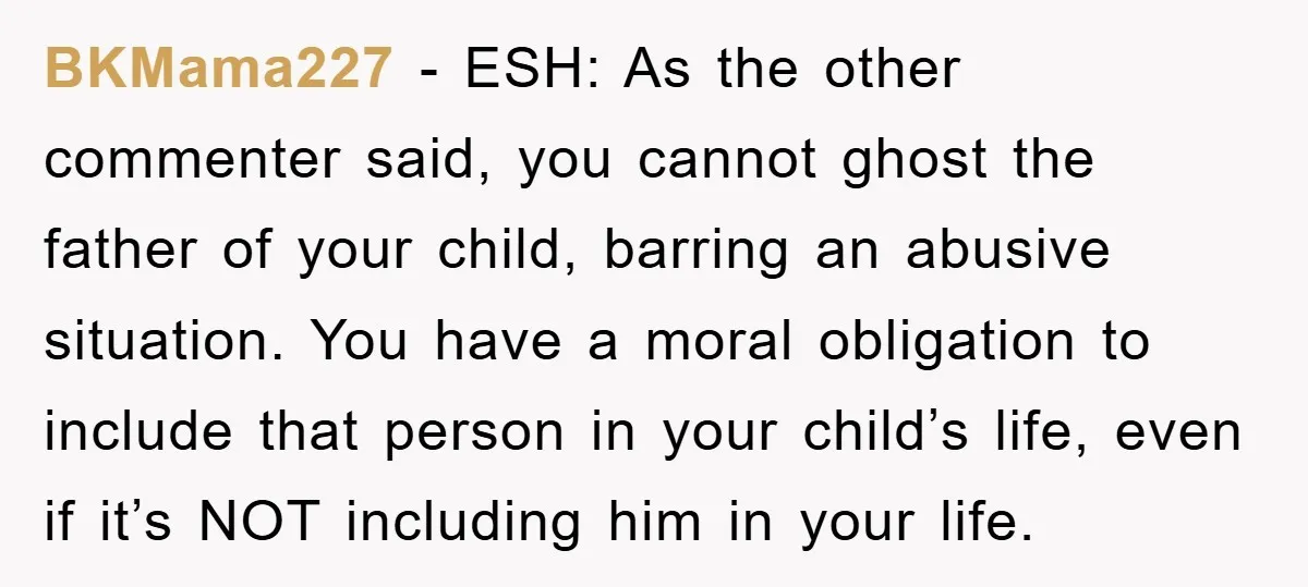 BKMama227 − ESH: As the other commenter said, you cannot ghost the father of your child, barring an abusive situation. You have a moral obligation to include that person in...