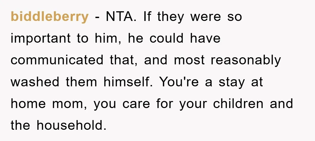 biddleberry − NTA. If they were so important to him, he could have communicated that, and most reasonably washed them himself. You're a stay at home mom, you care for...