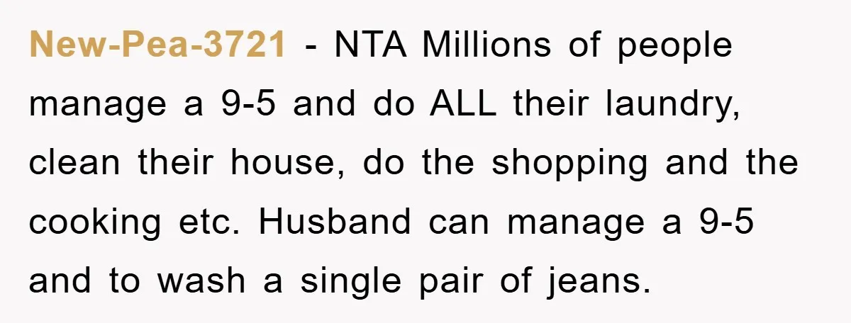 New-Pea-3721 − NTA Millions of people manage a 9-5 and do ALL their laundry, clean their house, do the shopping and the cooking etc. Husband can manage a 9-5 and...
