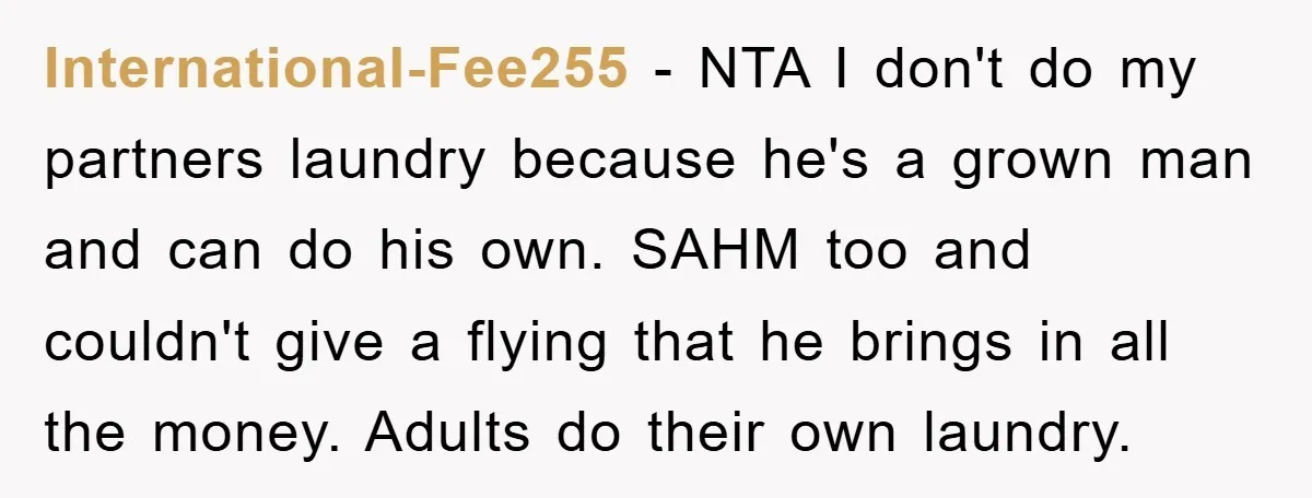 International-Fee255 − NTA I don't do my partners laundry because he's a grown man and can do his own. SAHM too and couldn't give a flying that he brings in...