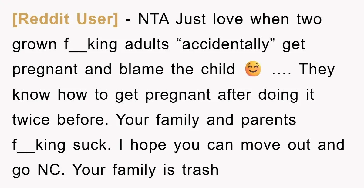[Reddit User] − NTA Just love when two grown f__king adults “accidentally” get pregnant and blame the child ☺️ …. They know how to get pregnant after doing it twice...