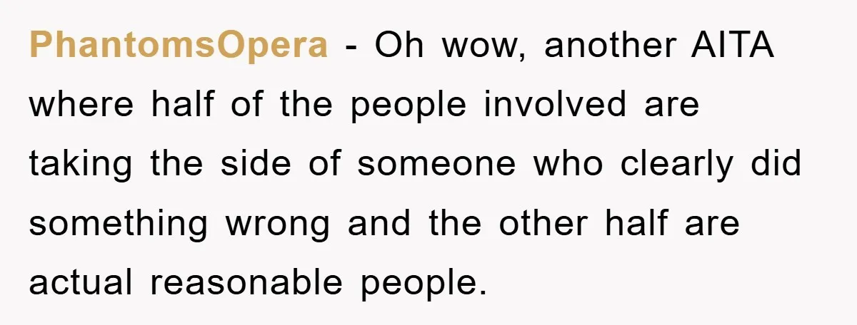 PhantomsOpera − Oh wow, another AITA where half of the people involved are taking the side of someone who clearly did something wrong and the other half are actual reasonable...