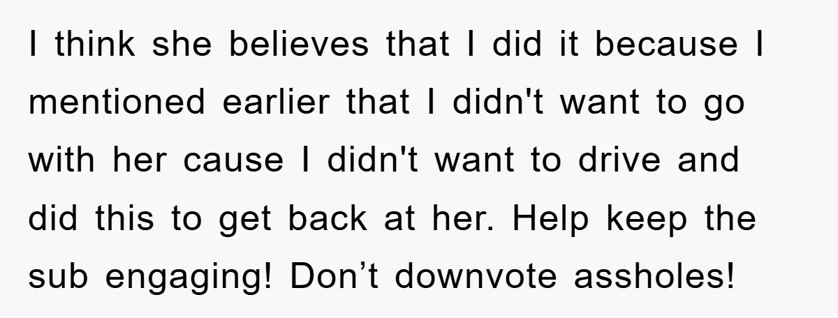 I think she believes that I did it because I mentioned earlier that I didn't want to go with her cause I didn't want to drive and did this to...
