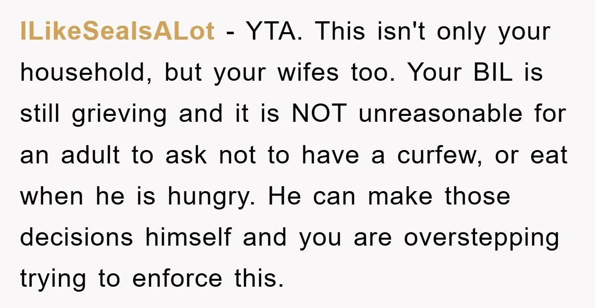 ILikeSealsALot − YTA. This isn't only your household, but your wifes too. Your BIL is still grieving and it is NOT unreasonable for an adult to ask not to have...