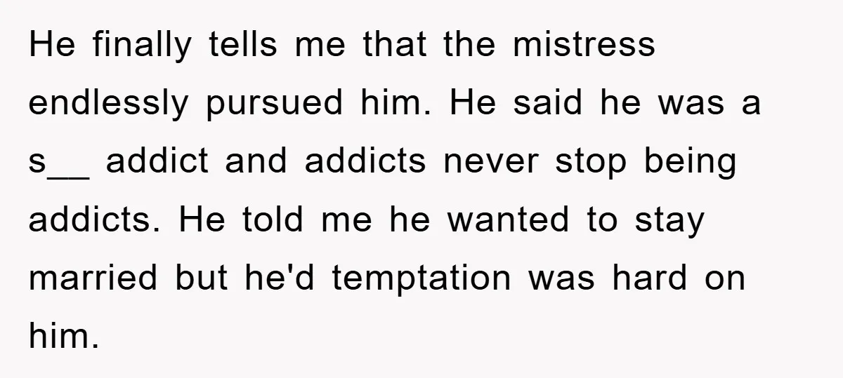 He finally tells me that the mistress endlessly pursued him. He said he was a s__ addict and addicts never stop being addicts. He told me he wanted to stay...