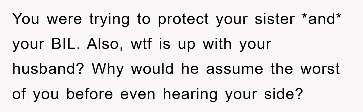 You were trying to protect your sister *and* your BIL. Also, wtf is up with your husband? Why would he assume the worst of you before even hearing your side?