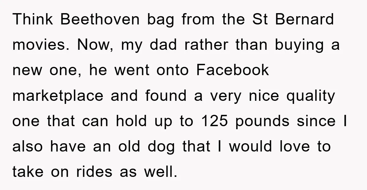 Think Beethoven bag from the St Bernard movies. Now, my dad rather than buying a new one, he went onto Facebook marketplace and found a very nice quality one that...