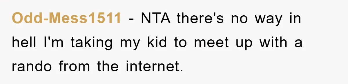 Odd-Mess1511 − NTA there's no way in hell I'm taking my kid to meet up with a rando from the internet.