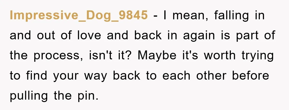 Impressive_Dog_9845 − I mean, falling in and out of love and back in again is part of the process, isn't it? Maybe it's worth trying to find your way back...