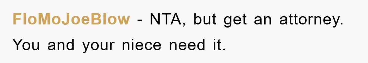 FloMoJoeBlow − NTA, but get an attorney. You and your niece need it.
